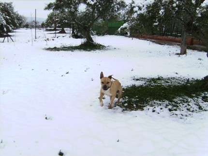 Corriendo como un loco!!!